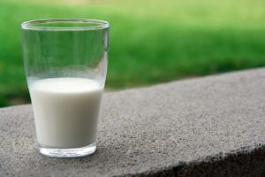 Natural Weight Loss Food Milk